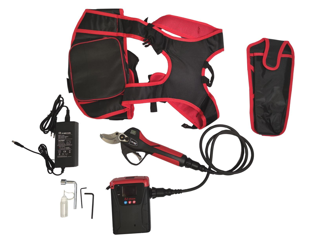 BLUE BIRD PS 22-40 sekator akumulatorowy zdjęcie 7