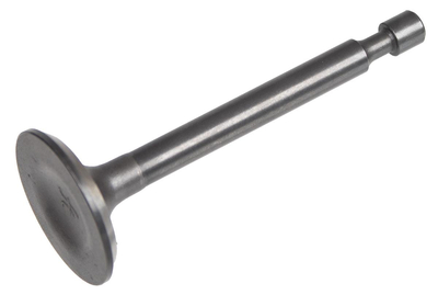 Cedrus engine valve Cedrus engine Y170V 484140