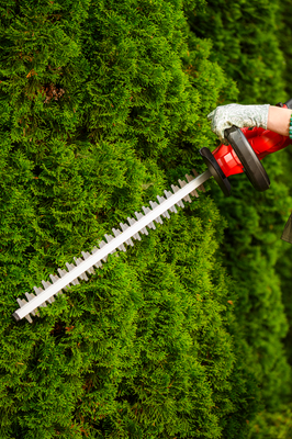 Akumulátorové nůžky na živý plot CEDRUS HT510 Li CEDHT510LI 20V POWER+ OFICIÁLNÍ DISTRIBUTOR - AUTORIZOVANÝ PRODEJCE CEDRUS