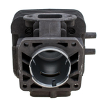 Cylinder Kawasaki TJ53E /bez tłoka/ 11005-2166