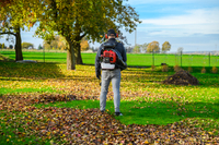 CEDRUS DM05 PRO PROFESSIONAL GARDEN LEAF BLOWER VACUUM CLEANER - OFFICIAL DISTRIBUTOR - AUTHORIZED CEDRUS DEALER