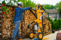 CEDRUS LS10 HYDRAULIC ELECTRIC WOOD SPLITTER CEDRUS CEDLS10V VERTICAL CHIPPER PRESSURE 22 TONS - EWIMAX - OFFICIAL DISTRIBUTOR - AUTHORIZED CEDRUS DEALER
