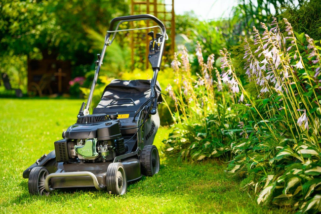 WEIBANG WB537SC V ALL- BBC MOTORIZED PETROL MOWER WITH CARDAN SHAFT DRIVE / ALUMINIUM / SPRING / PROFESSIONAL 6.5 HP / 53 cm - OFFICIAL DISTRIBUTOR - AUTHORIZED WEIBANG DEALER