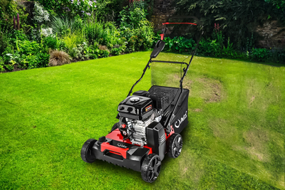 CEDRUS WR02 R DIESEL LAWN SCARIFIER AERATOR 6 KM SWING BLADES - EWIMAX - OFFICIAL DISTRIBUTOR - AUTHORIZED CEDRUS DEALER