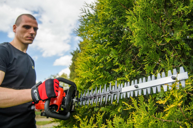 FAWORITE SPN261 PETROL HEDGE TRIMMER SHEARS BUSHES SHRUBS