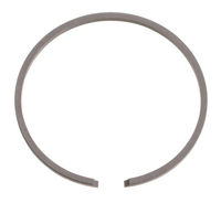 Piston ring CEDRUS saw CEDPS25-10T 370127/10