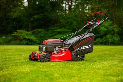 CEDRUS KS53S MOTORIZED SPRINEL MOWER 53cm / 5,7 HP - EWIMAX - OFFICIAL DISTRIBUTOR - AUTHORIZED DEALER CEDRUS