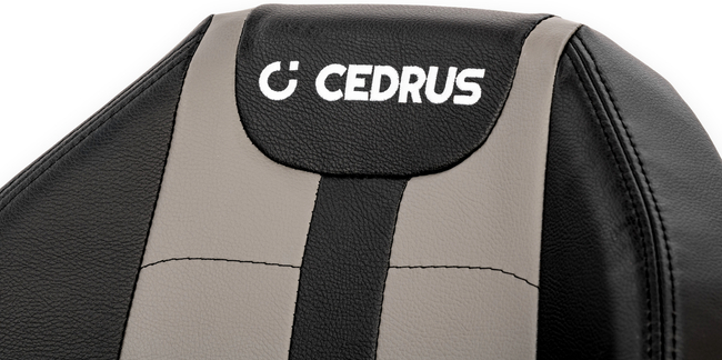 CEDRUS C-TRAC 93HC PREMIUM LUX Rear-Dump Self-Propelled Lawn Mower HYDROSTAT 93cm 2 CYLINDRES C-TRAC-93HC EWIMAX OFFICIAL DISTRIBUTOR - AUTHORIZED DEALER CEDRUS