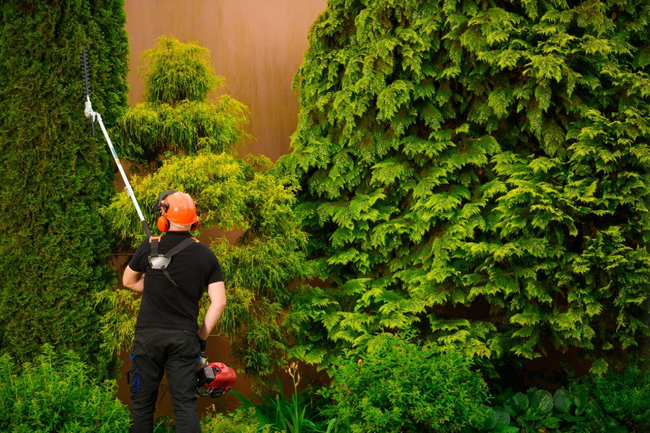 CEDRUS UW520 BENZÍNOVÁ SEKAČKA NA TRÁVU ŘETĚZOVÁ PILA ZAHRADNÍ NŮŽKY UNIVERZÁLNÍ VYŽÍNAČ VYŽÍNACÍ NÁSTAVEC 1,8 KM 