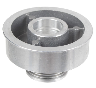 Cedrus scarifier pulley CEDWE40 300373