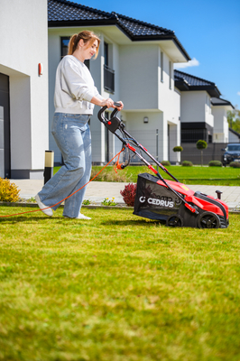 CEDRUS WE40 WERTYKULATOR DO TRAWY AREATOR 2w1 AERATOR + 2 WAŁKI 2000W / 40cm CEDWE40 - EWIMAX - OFICJALNY DYSTRYBUTOR - AUTORYZOWANY DEALER CEDRUS