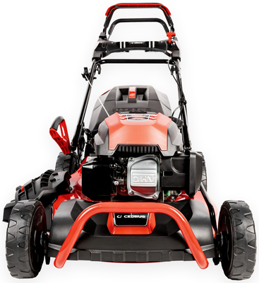 CEDRUS KS48S MOTORIZOVANÁ SEKÁČKA NA VINNÉ ROSTLINY 48cm / 4,2 hp - EWIMAX - OÞCIÁLNÍ DISTRIBUTOR - AUTORIZOVANÝ PRODEJCE CEDRUS