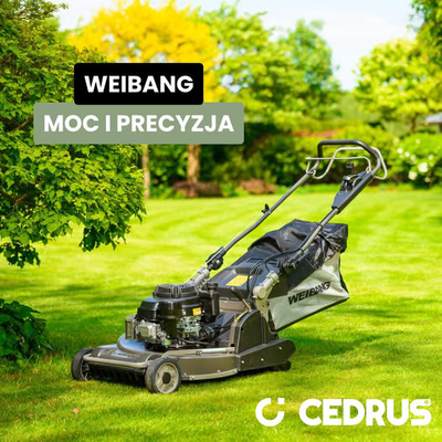 WEIBANG WB567SK V-R MOTORIZED VINE MOWER WITH DRIVE AND RECYCLING ROLL 6HP / 56cm - OFFICIAL DISTRIBUTOR - AUTHORIZED WEIBANG DEALER