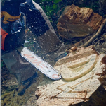 DAEWOO DACS 4500 PETROL CHAINSAW POWER 2,58KM - OFFICIAL DISTRIBUTOR - AUTHORIZED DAEWOO DEALER