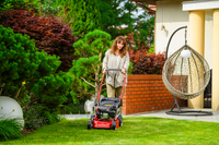 WEIBANG WB455SC 3W1 MOTORIZED VERTICAL MOWER 3.5 HP / 45cm - OFFICIAL DISTRIBUTOR - AUTHORIZED WEIBANG DEALER