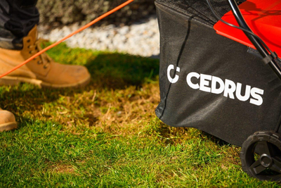 CEDRUS WE38 WERTYKULATOR DO TRAWY AREATOR 2w1 AERATOR + 2 WAŁKI 1800W / 38cm CEDWE38 - EWIMAX - OFICJALNY DYSTRYBUTOR - AUTORYZOWANY DEALER CEDRUS