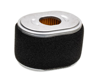 B&S DOV air filter ORIGINAL PART 590601