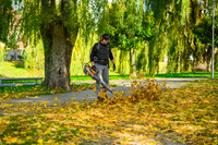 Cedrus BL210-P Akumulátorový foukač Cedrus 60V BL210-P, bez baterie a nabíječky CEDBL210-P