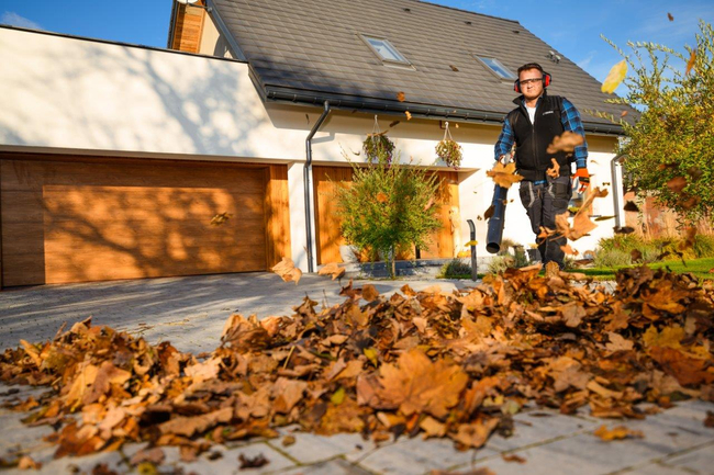 CEDRUS DM05 PRO PROFESSIONAL GARDEN LEAF BLOWER VACUUM CLEANER - OFFICIAL DISTRIBUTOR - AUTHORIZED CEDRUS DEALER