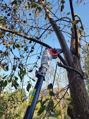 IKRA IEAS 750 saw chain saw cutting machine for branch timber ELECTRIC 20 cm / 750 W PREMIUM OB-IKRIEAS750 EWIMAX - OFFICIAL DISTRIBUTOR - AUTHORIZED DEALER IKRA