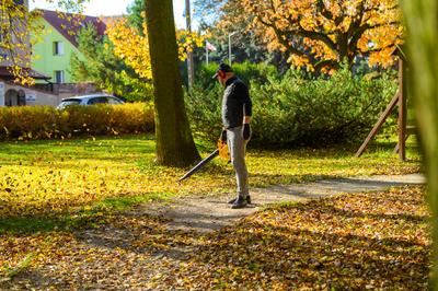 CEDRUS DM03 2-in-1 GARDEN SPRINAL VACUUM CLEANER - OFFICIAL DISTRIBUTOR - AUTHORIZED DEALER CEDRUS