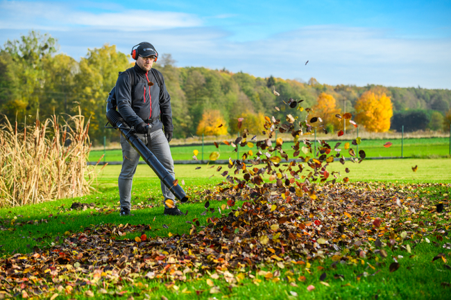 CEDRUS DM05 PRO PROFESSIONAL GARDEN LEAF BLOWER VACUUM CLEANER - OFFICIAL DISTRIBUTOR - AUTHORIZED CEDRUS DEALER