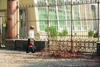 OLEO MAC BV 250 PETROL VACUUM CLEANER GARDEN LEAF BLOWER PREMIUM CLASS 56609001E5 EWIMAX-OFFICIAL DISTRIBUTOR-AUTHORIZED OLEO-MAC DEALER