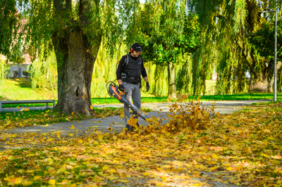 Cedrus BL210-P Dmuchawa akumulatorowa Cedrus 60V BL210-P, bez aku i ładowarki CEDBL210-P