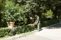 OLEO MAC HC 246 P HEDGE TRIMMER SHRUB SHEAR BUSHES PETROL POWER 1.0 KM PREMIUM CLASS 58099010E2 EWIMAX-OFFICIAL DISTRIBUTOR - AUTHORIZED OLEO-MAC DEALER