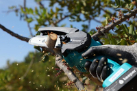 KEEPER KP6 PIŁA PILARKA PRZECINARKA AKUMULATOROWA ŁANCUCHOWA OKRZESYWARKA GAŁĘZIÓWKA DO DREWNA