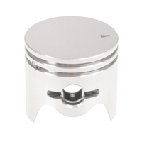 CEDRUS blower piston DM03 070471