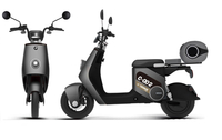 Electric scooter Cedrus by Luyuan C-GO-2G-ZQQ2 gray C-GO-2G-ZQQ2