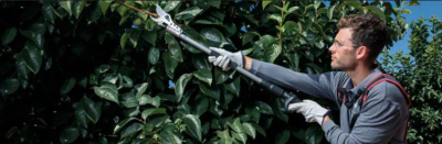 KAMIKAZE KV 205 OTH-GSKAKV205 BATTERY BOOM PRUNER