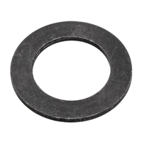 Cedrus scarifier roller pad WR01 480104