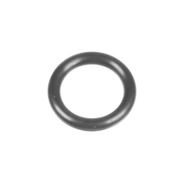 Oring Cedrus pressure washer CEDMC90