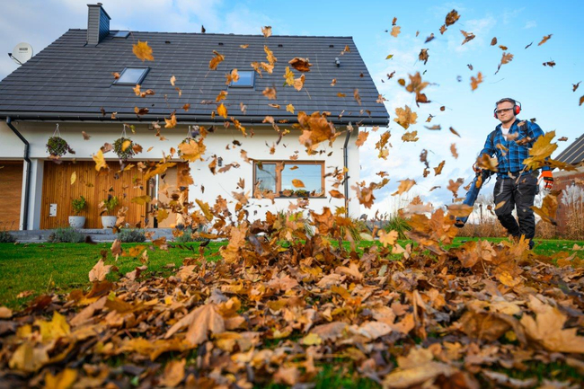 CEDRUS DM05 PRO PROFESSIONAL GARDEN LEAF BLOWER HOOVER - OFICIÁLNÍ DISTRIBUTOR - AUTORIZOVANÝ PRODEJCE CEDRUS