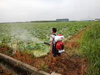 CIFARELLI M1200 DIESEL BACKPACK SPRAYER GARDEN ORCHARD SPRAYER 17L PROFESSIONAL - OFFICIAL DISTRIBUTOR - AUTHORIZED CIFARELLI DEALER