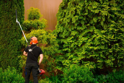 CEDRUS UW520 BENZÍNOVÁ SEKAČKA NA TRÁVU ŘETĚZOVÁ PILA ZAHRADNÍ NŮŽKY UNIVERZÁLNÍ VYŽÍNAČ VYŽÍNACÍ NÁSTAVEC 1,8 KM 
