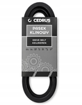 PASEK KLINOWY NAPĘDOWY DO ROZDRABNIACZA RĘBAKA CEDRUS RB02 500057
