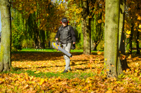 Cedrus BL210-P Dmuchawa akumulatorowa Cedrus 60V BL210-P, bez aku i ładowarki CEDBL210-P