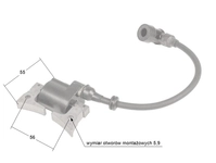 Moduł Robin EX13;EX17;EP16;17 zapłonowy CZĘŚĆ ORYGINALNA 0001100018