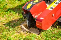 CEDRUS FR01 ROOT PLANTER TREE GRUBBER 15 KM - EWIMAX - OFFICIAL DISTRIBUTOR - AUTHORIZED CEDRUS DEALER