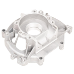 Cedrus pravý šnek SW01