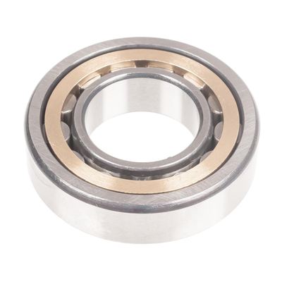 Cedrus compactor eccentric shaft bearing CEDZG03 131593