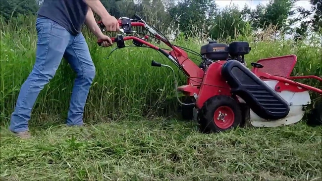 MASTERCUT SG0812A KARCZOWNICA KARCZOWNIK KOSIARKA BIJAKOWA DO TRAWY ZAROŚLI OGRODOWA SPALINOWA 60CM 8KM