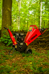 Cedrus RB02 rozdrabniacz spalinowy rębak do gałęzi 10 cm Loncin 6,5 KM