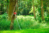 CEDRUS WK330 PETROL GRASS TRIMMER MOWER 1.2 KM EWIMAX-OFFICIAL DISTRIBUTOR - AUTHORIZED CEDRUS DEALER