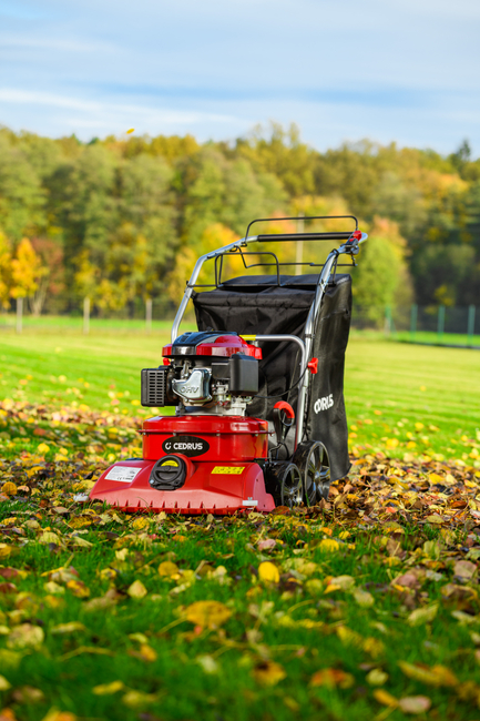 CEDRUS LV58 S PROFESSIONAL CLEANER + 4in1 SPRINEL LEAF VERTICULATOR 4in1 GARDEN DRIVE ROAD DRIVER 2in1 LV58S - OFFICIAL DISTRIBUTOR - AUTHORIZED DEALER CEDRUS