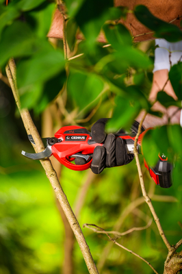 Cedrus cordless pruner with battery and charger CEDBPB40LI-SET CEDBPB40LI-SET