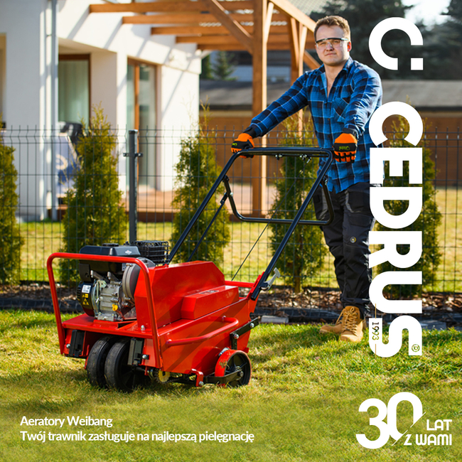 WEIBANG WB517AB SPRINKLING RUBBLE 5 hp B&S Briggs & Stratton 750Series WB517 lawn aerator EWIMAX - OFFICIAL DISTRIBUTOR - AUTHORIZED WEIBANG DEALER